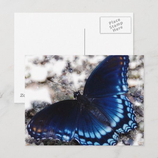 Butterfly-effect Briefkaart (Voorkant / Achterkant)