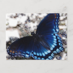 Butterfly-effect Briefkaart