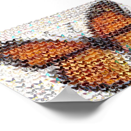 Butterfly-effecten Poster (Hoek)