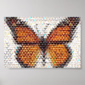 Butterfly-effecten Poster (Voorkant)