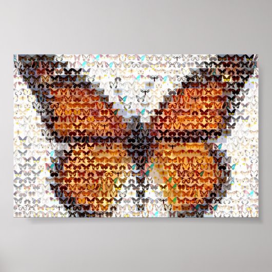 Butterfly-effecten Poster (Voorkant)