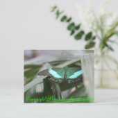 Butterfly Emerald Peacock Swallowtail # 1 Briefkaart (Staand voorkant)