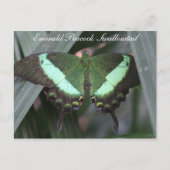 Butterfly Emerald Peacock Swallowtail # 2 Briefkaart (Voorkant)