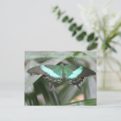 Butterfly Emerald Peacock Swallowtail # 5 Briefkaart (Staand voorkant)