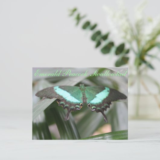 Butterfly Emerald Peacock Swallowtail # 5 Briefkaart (Staand voorkant)