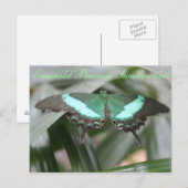 Butterfly Emerald Peacock Swallowtail # 5 Briefkaart (Voorkant / Achterkant)