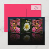 Butterfly en Dahlia Briefkaart (Voorkant / Achterkant)