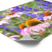 Butterfly en Daisies Poster (Hoek)