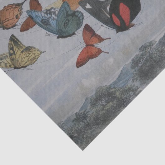 Butterfly en Fairy Queen Butterflies Fairies Tissuepapier (Detail)