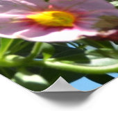 Butterfly en Flowers II Poster (Hoek)