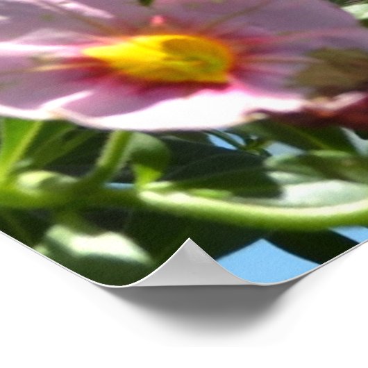Butterfly en Flowers II Poster (Hoek)
