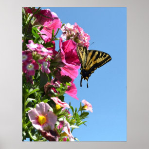 Butterfly en Flowers II Poster