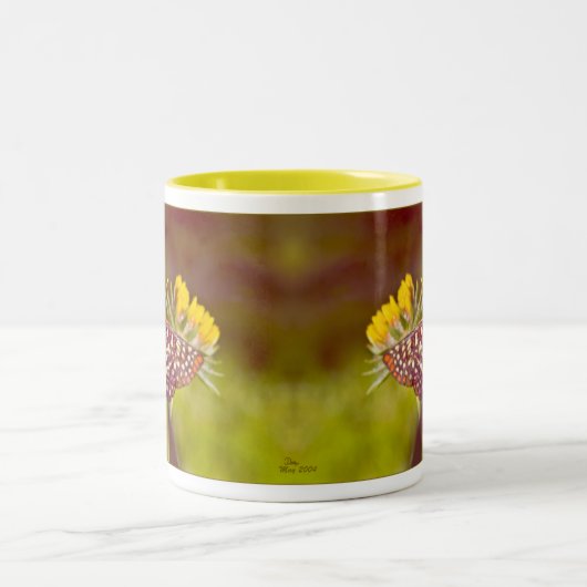 Butterfly en Gaillardia Tweekleurige Koffiemok (Center)