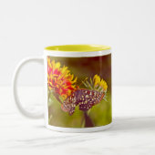 Butterfly en Gaillardia Tweekleurige Koffiemok (Links)