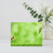 Butterfly en Ladybug boven Grass Briefkaart (Staand voorkant)
