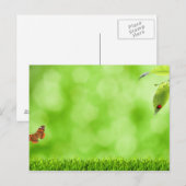 Butterfly en Ladybug boven Grass Briefkaart (Voorkant / Achterkant)