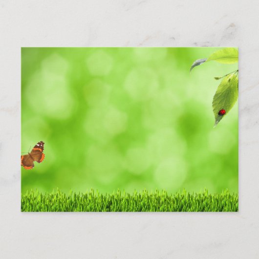 Butterfly en Ladybug boven Grass Briefkaart (Voorkant)