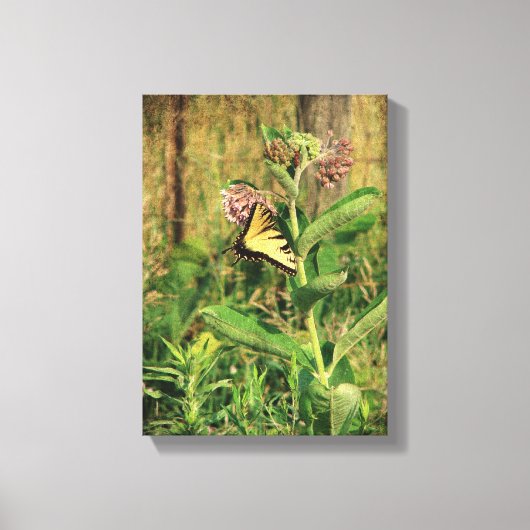 Butterfly en Milkweed Canvas Afdruk (Voorkant)