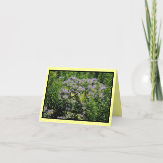 Butterfly en Monarda Notecard Kaart
