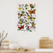 Butterfly en Moth Painting door Paul Gervais Poster (Keuken)