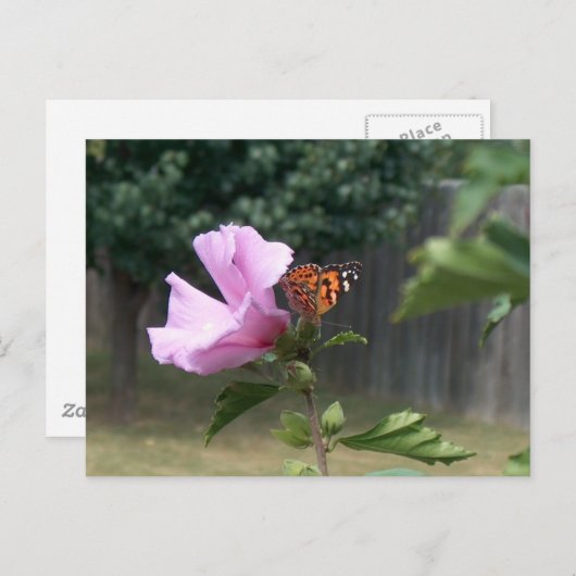 Butterfly en Roos van Sharon Briefkaart (Voorkant / Achterkant)