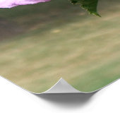 Butterfly en Roos van Sharon Poster (Hoek)