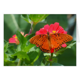 Butterfly en roze ventilator