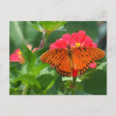 Butterfly en roze ventilator briefkaart (Voorkant)