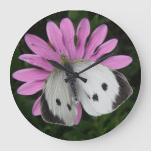 Butterfly en roze wandklok