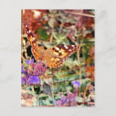 Butterfly en Rust Briefkaart (Voorkant)