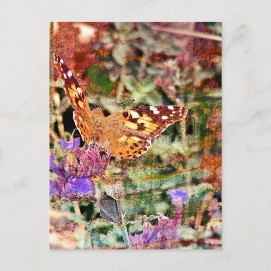 Butterfly en Rust Briefkaart (Voorkant)