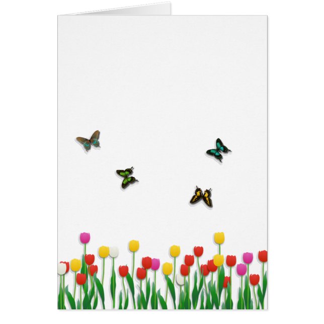 Butterfly en Tulips (Voorkant)