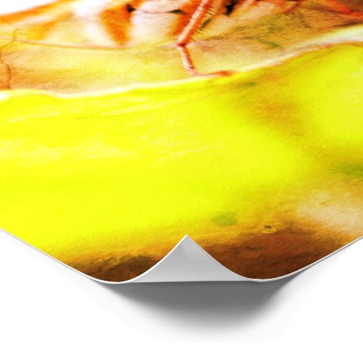 Butterfly Face Close-up van verontruste kunst Poster (Hoek)