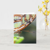 Butterfly Face Nature Photography Note Kaart (Gele Bloem)