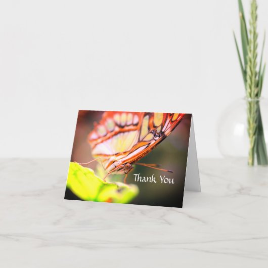 Butterfly Face Natuur Dank u wel Bedankkaart (Voorkant)