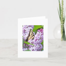 Butterfly Feeding Kaart