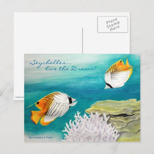 Butterfly fish briefkaart (Voorkant / Achterkant)