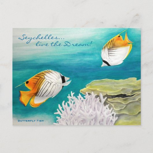 Butterfly fish briefkaart (Voorkant)