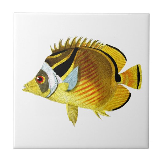 Butterfly Fish no.4 Tropical Coastal Home Decor Tegeltje (Voorkant)