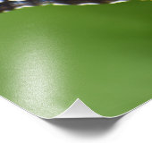 Butterfly Foto Afdruk (Hoek)