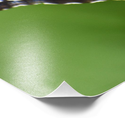 Butterfly Foto Afdruk (Hoek)