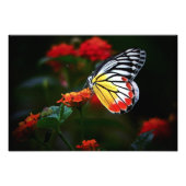 Butterfly Foto Afdruk (Voorkant)