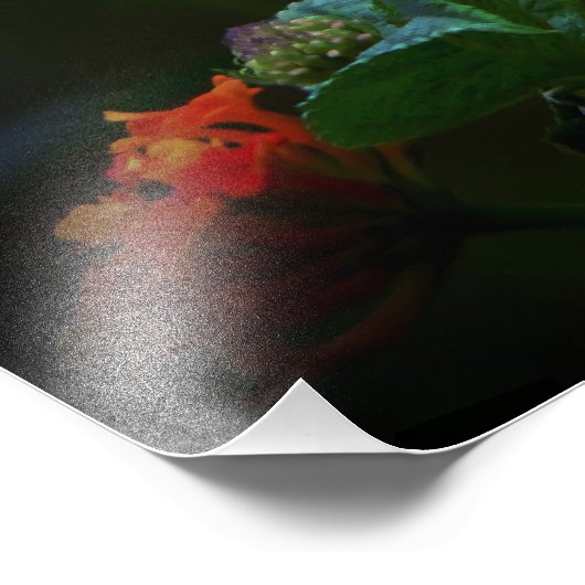 Butterfly Foto Afdruk (Hoek)