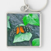 BUTTERFLY (FOTO)-SLEUTELHANGER SLEUTELHANGER (Voorkant)