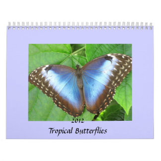 Butterfly Foto's Agenda 2012 Kalender