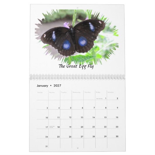 Butterfly Foto's Agenda 2012 Kalender (Jan 2027)