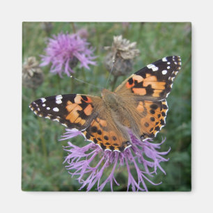 Butterfly Fridge Magnettes Magneet