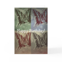 Butterfly Fun, Birthday