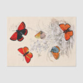 Butterfly Garden 10 x 15-inch tissuepapier (Voorkant)