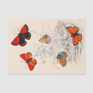 Butterfly Garden 10 x 15-inch tissuepapier